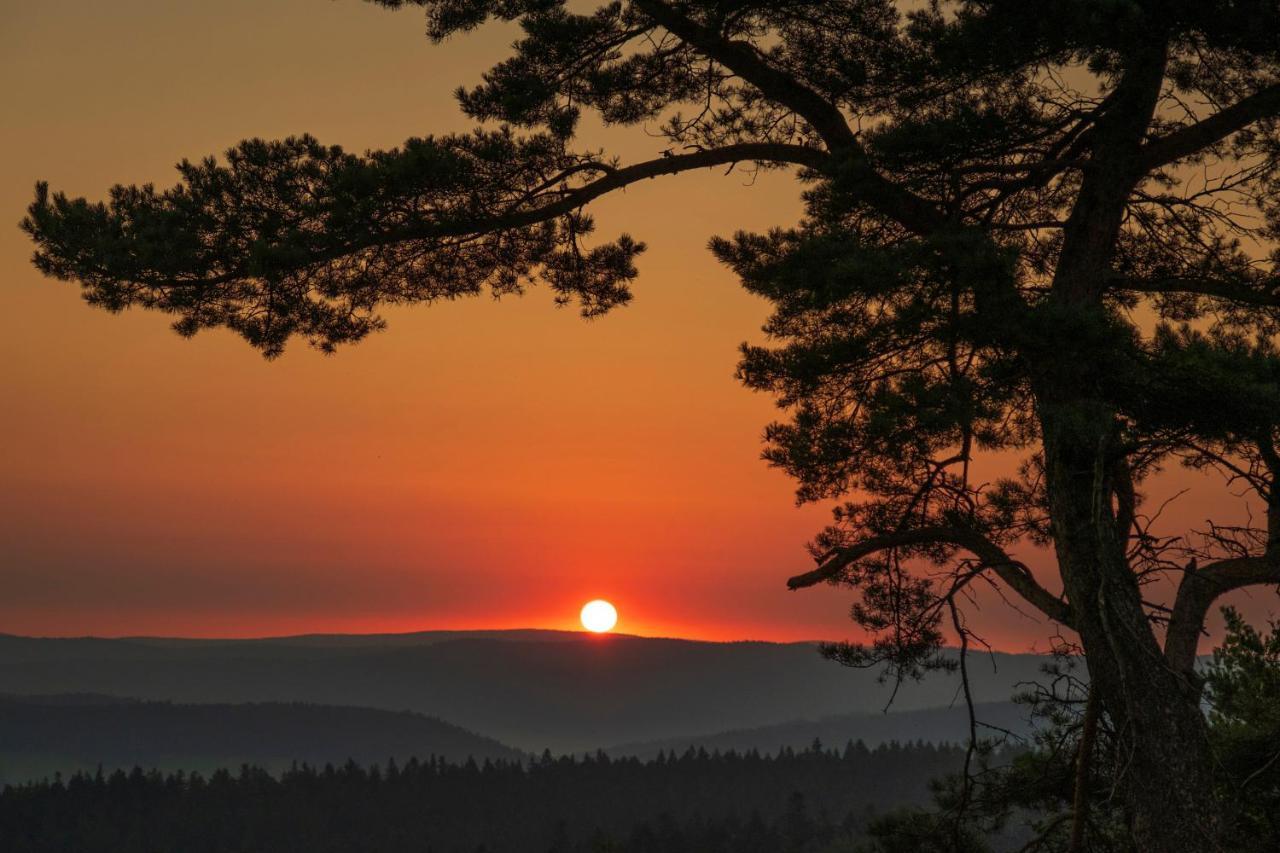 Pensjonat Orle Krynica-Zdrój Exteriör bild