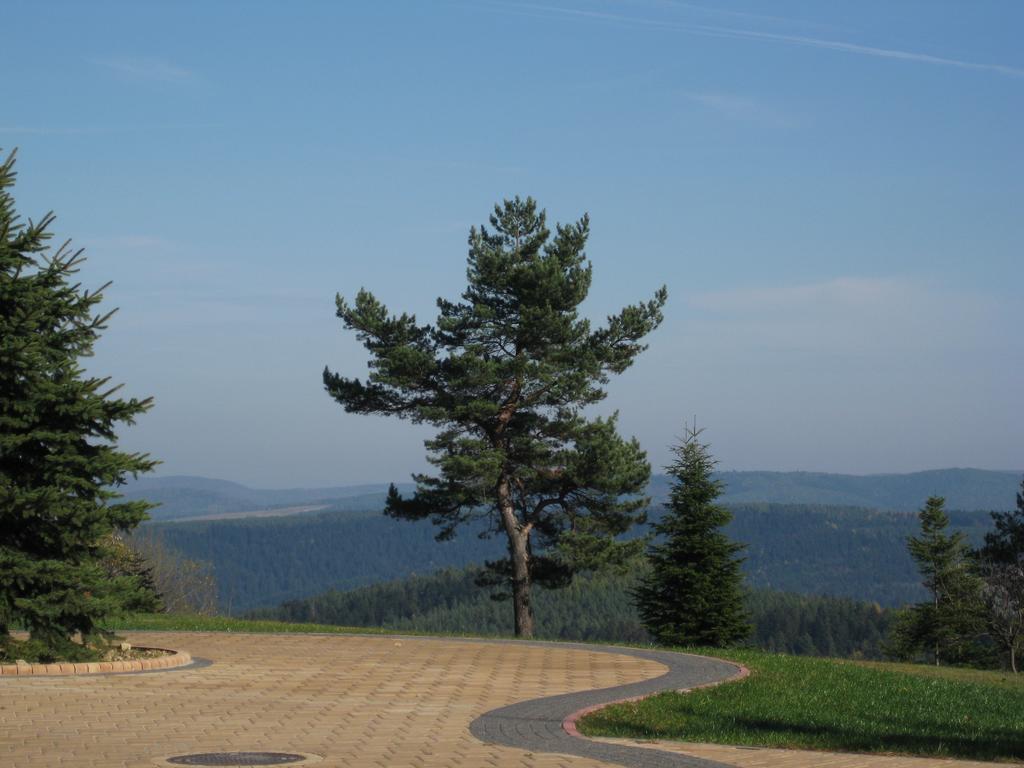 Pensjonat Orle Krynica-Zdrój Exteriör bild